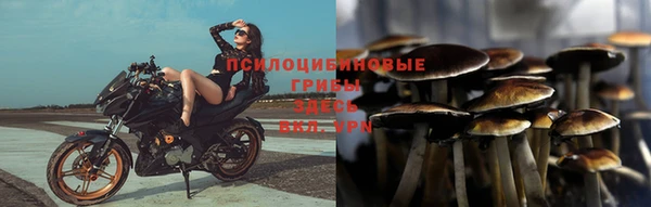 соль ск Абинск