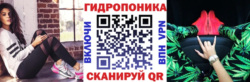 мега зеркало  магазин продажи наркотиков  Ливны  Каннабис Ganja 